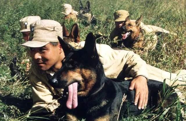 豆瓣|人神共愤！全网怒刷一星，他是中国影视圈的奇耻大辱