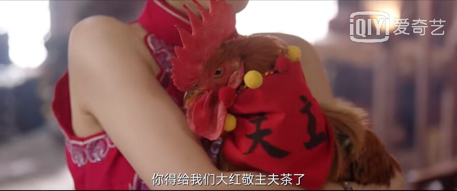 请君|《请君》塞翁失马，焉知非福；丢了“美娇娘”来了一个“沈姨娘”