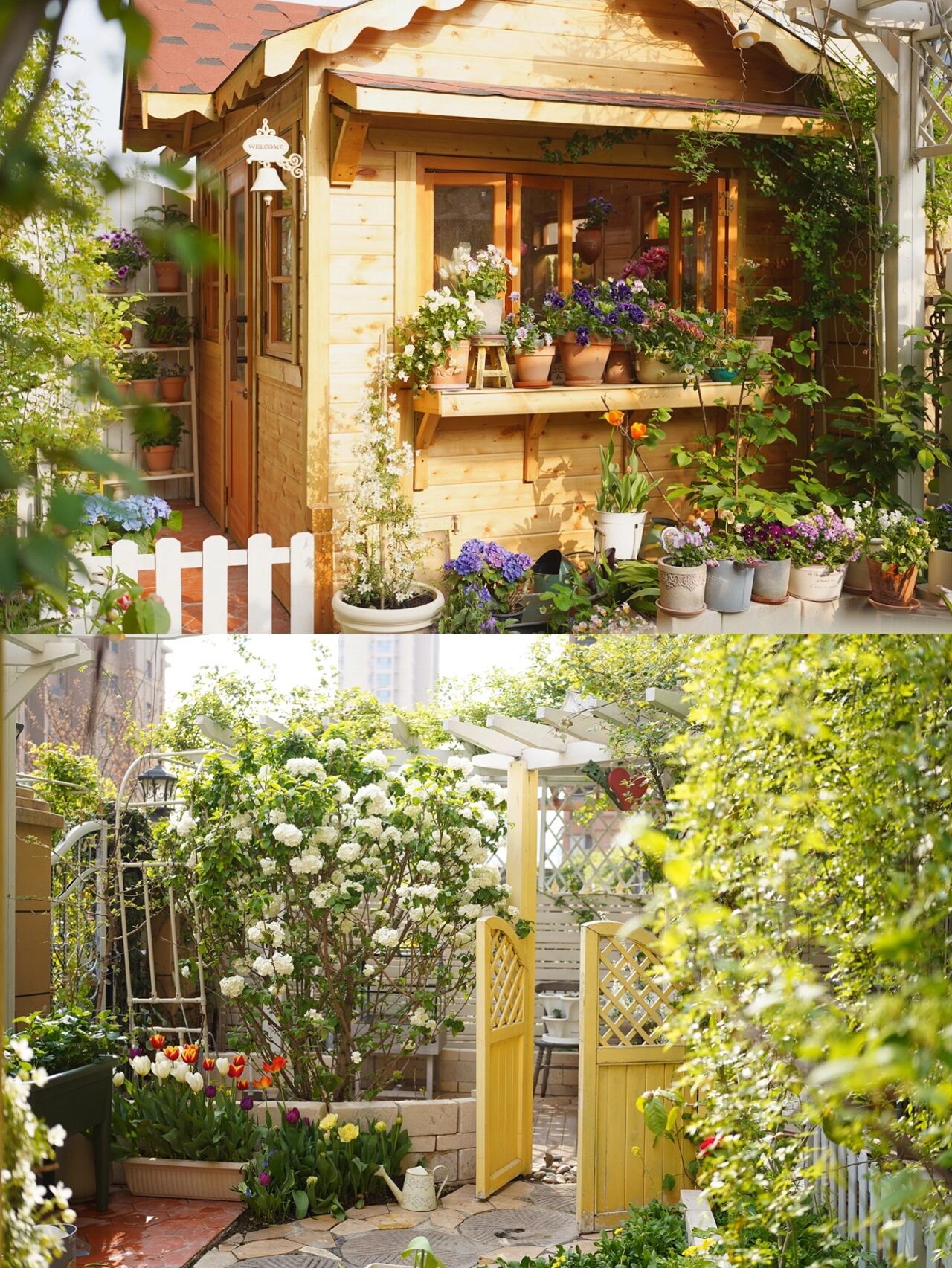 为了这个60㎡院子,买了一楼的房子,打造自己的秘密花园,太美啦