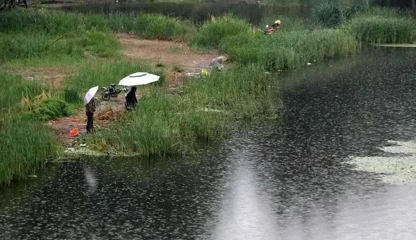 |初夏野钓下雨就能爆护？错！牢记3个“雨钓”秘诀，下竿就中鱼