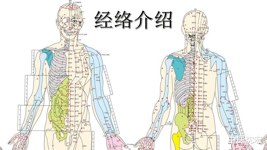 养生|脉通一寸,寿延一年,张仲景独创“通脉方”,通脉,通络,通全身