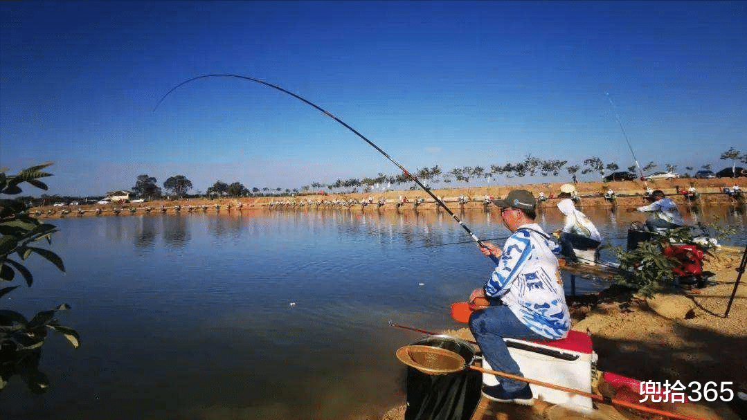 江苏一男子夜钓遇流浪猪,追赶1个小时将其擒获,网友:是个狠人