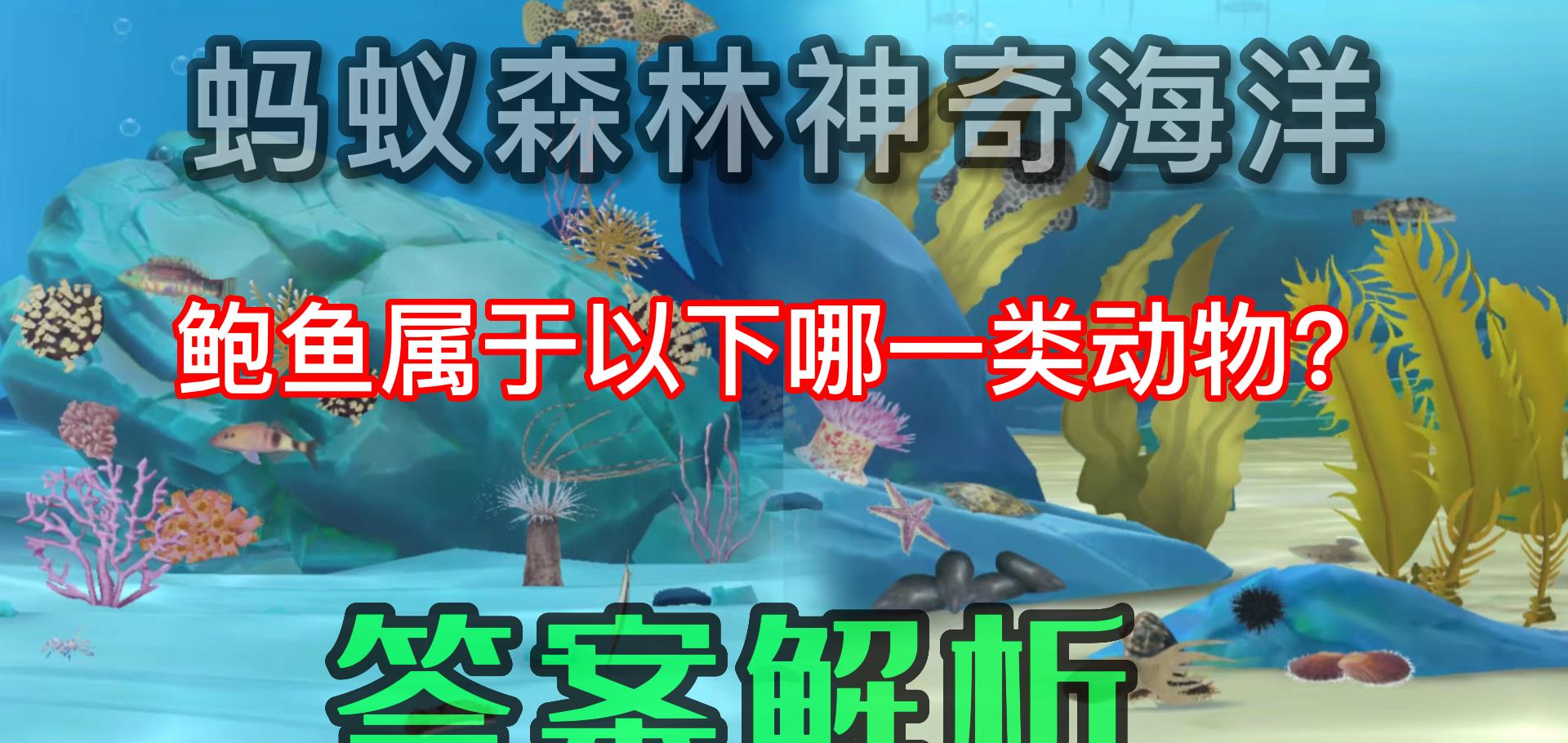 鲍鱼属于哪一类动物?蚂蚁森林神奇海洋