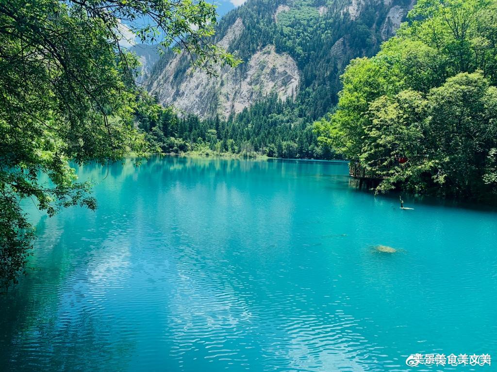 |夏天的九寨沟,绿意盎然,水幽蓝深邃,太美太凉爽