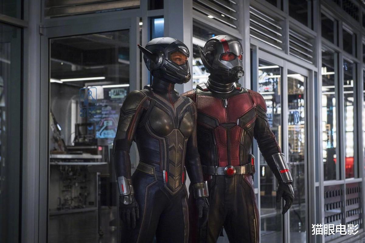 蚁人|漫威两部新片改档，惊奇队长2延期5个月，蚁人3将提前上映