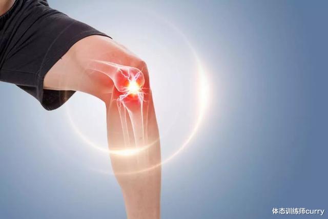 运动|常说“收紧核心”,核心究竟是什么?这篇文章带你了解核心肌肉