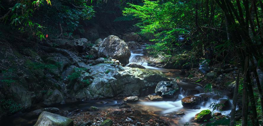 旅游局|遇见盛夏，山谷随风