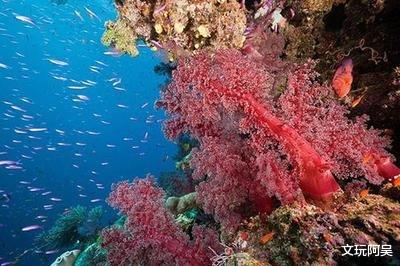 文玩|这些很“刑”的文玩，你知道吗？