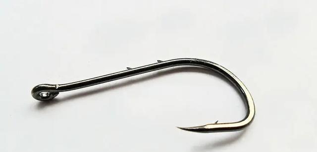 饵料|为什么有些鱼被钓上来再放回水里,它也活不长?