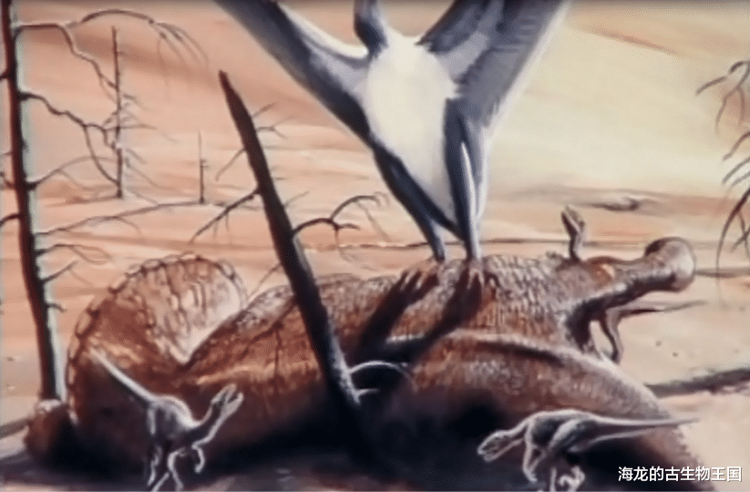 风神翼龙的故事!