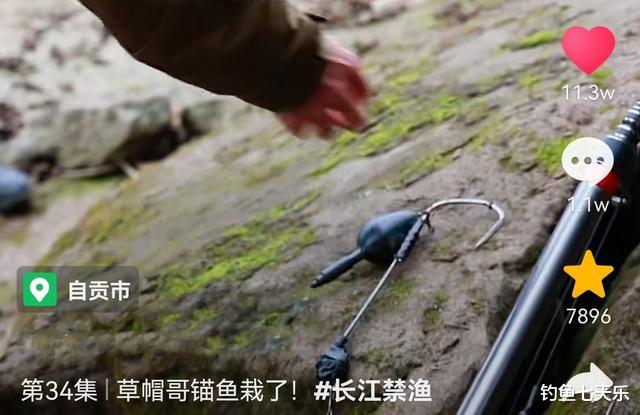 黑粉|四川志愿者协助抓捕锚鱼人，遭黑粉恶意攻击，锚鱼乱象该治治了