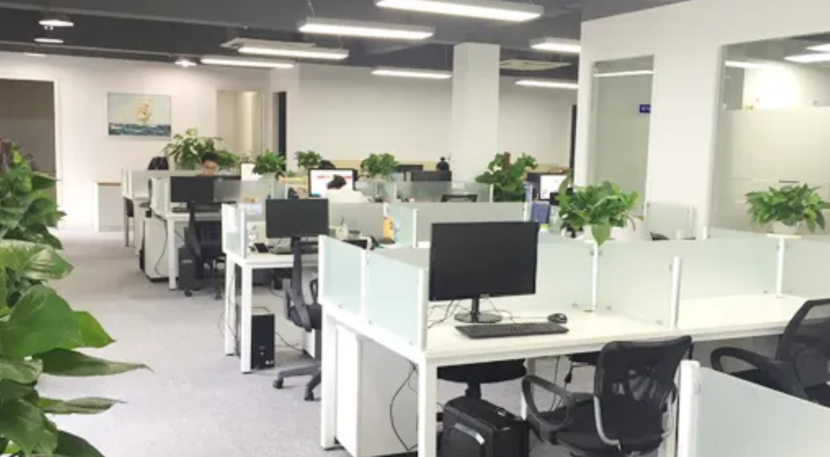 招聘|“体测”纳入茅台酒厂招聘条件，六险二金年薪30万，网友：我行