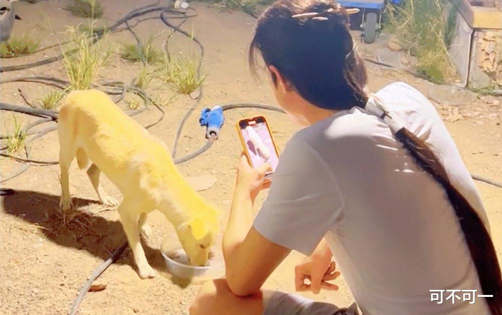 赵丽颖|《与凤行》赵丽颖红衣新造型,温婉的魏晋风,林更新真的瘦了很多