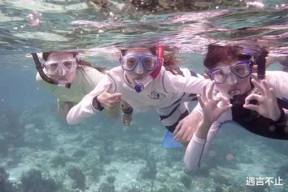 bilibili|谷爱凌的父亲是谷歌No.5员工， 终于被我们找到了！