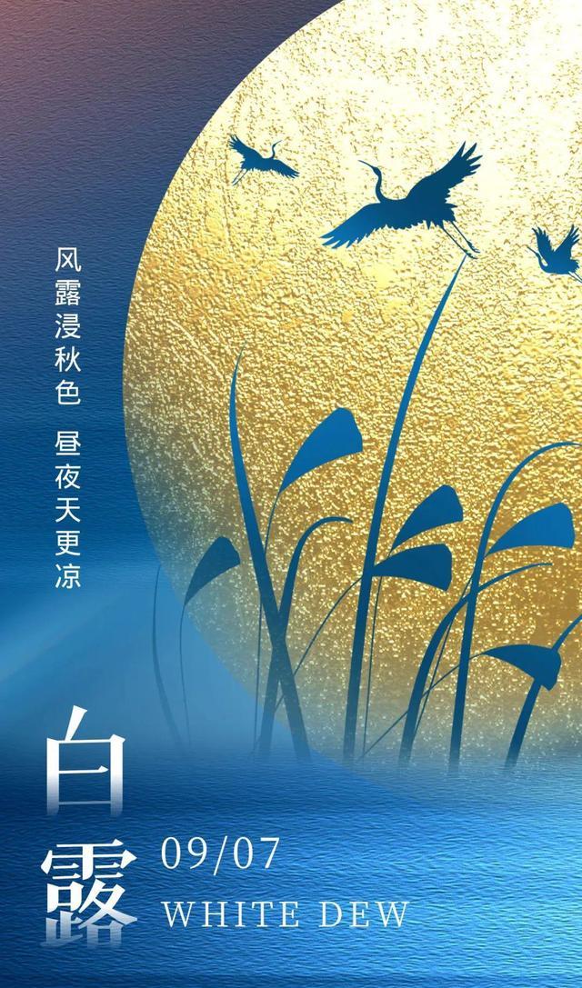 白露图片配图唯美高清带字大全,白露朋友圈问候语文案句子