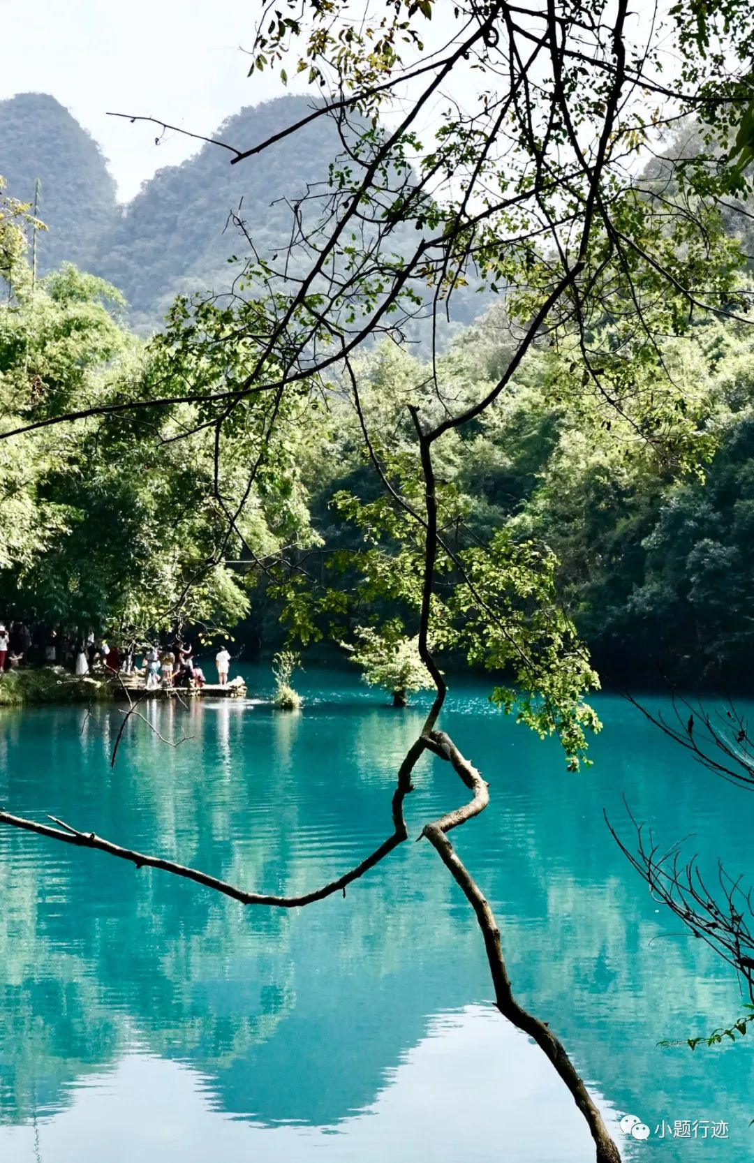 腾冲|地球腰带上的绿宝石荔波：小七孔风景如诗如画，仿佛仙境落入人间
