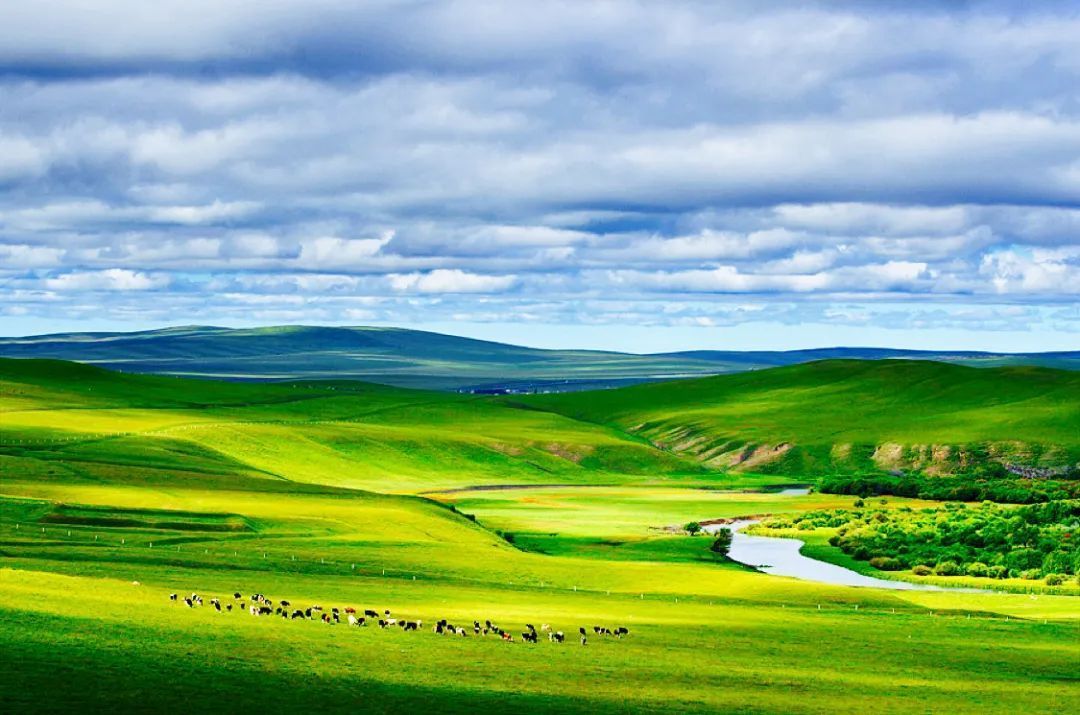 香港|草原季即将开启,如何选择最适合你的草原?