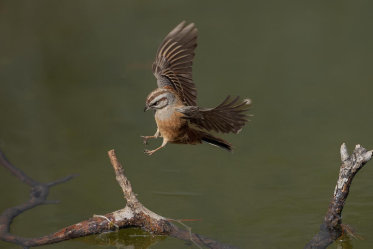 摄影师专访 | 王伟:玩摄影,要保持一颗平常心