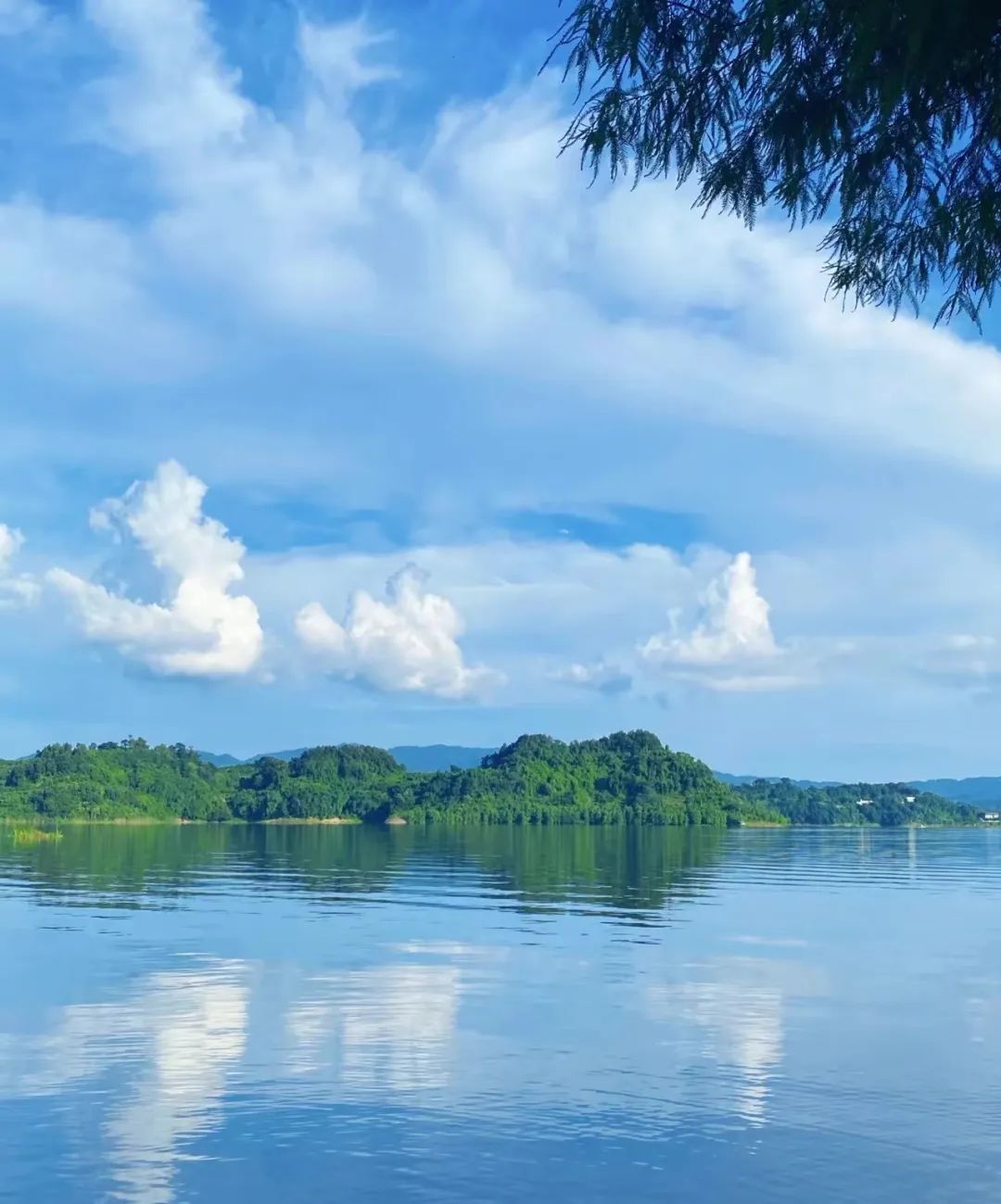 长寿湖|逃离城市去到重庆版千岛湖,水上派对,自助烤肉,亲子狂欢