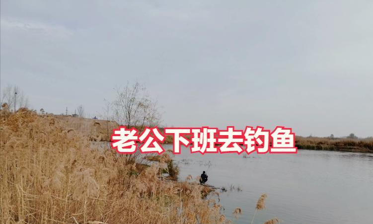 |老公下班后不回家，天天半夜去钓鱼，妻子：鱼吃反胃了，看到都烦