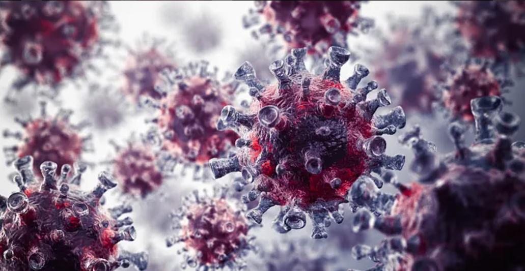 科学家复活的巨型病毒,竟源于四万年前,会掀起新一轮的疫情吗?