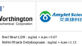 Worthington哺乳动物乳酸脱氢酶研究——特点及测定方案