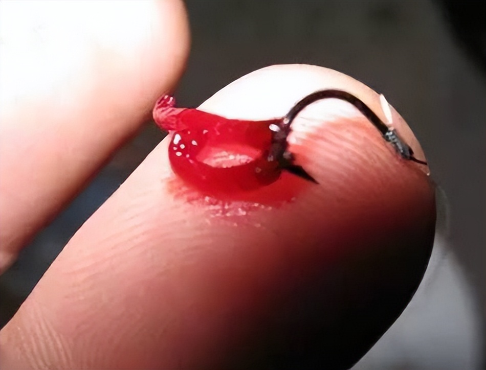 美国|冬季钓鲫鱼,钓鱼人心里存有八大纠结,做错一个都可能渔获惨淡