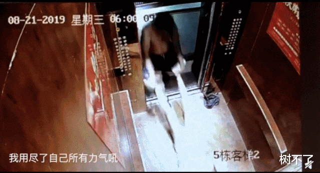 刘洲成|知名男星靠“家暴梗”复出，居然吸粉30万：还不封杀，留着过年吗？