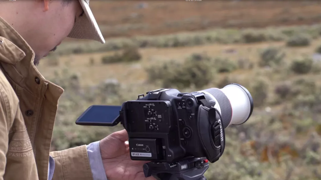 执子之手,与子偕老 | EOS C70对一场唯美婚礼的诠释