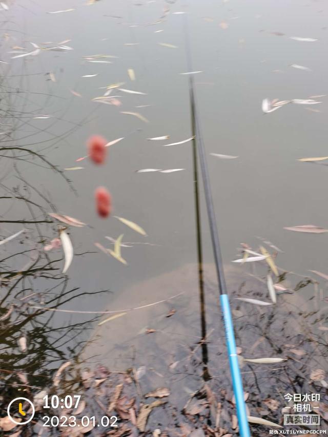 饵料|2023年第一钓,酣畅淋漓!