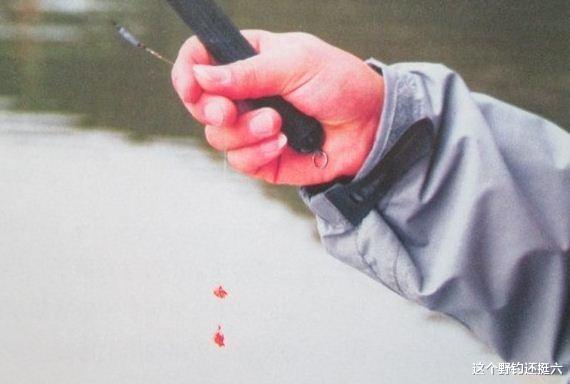 鲢鳙|别再上当了！添加剂在野钓中有没有作用？如何正确看待添加剂？