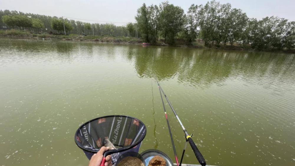 |因资源差经常空军，是否该换水域找资源？不！找好水深养窝正当时