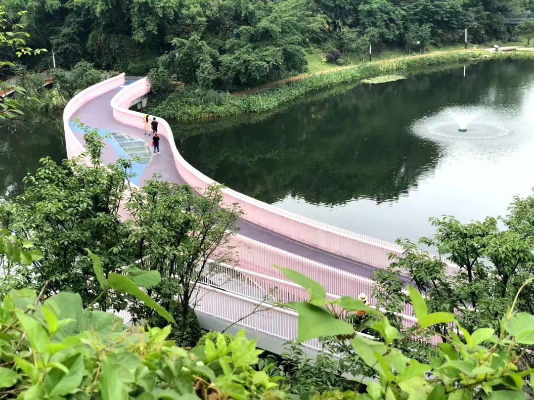 绣球花|重庆轨道交通直达的桃花源，绣球花、粉黛桥、大草坪都很出片