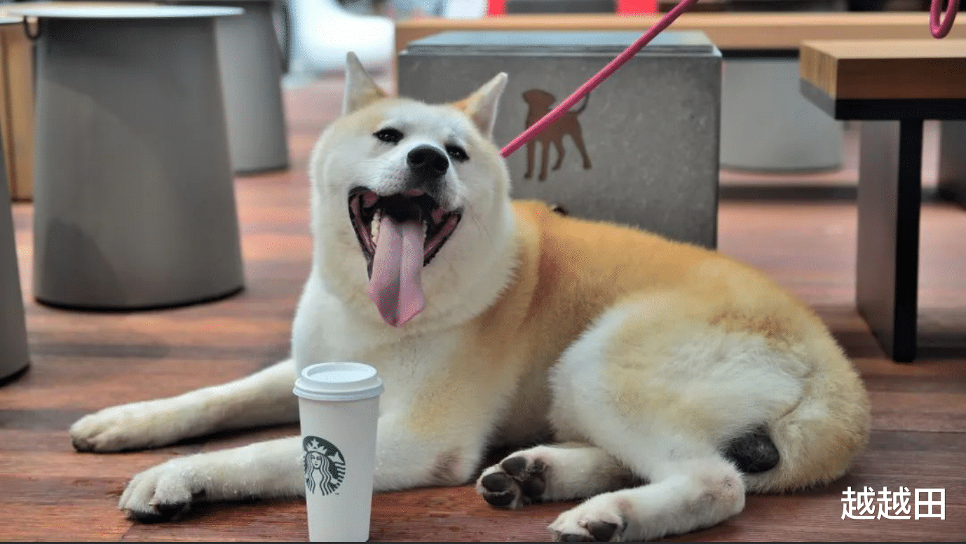 快递|帮同事取快递还要倒掏钱，真是大冤种，我机智的一招制敌