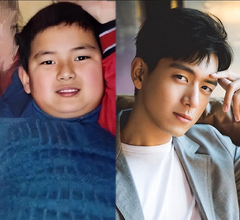 鸡胸肉 沈梦辰的神预言:杜海涛暴瘦30斤,真的只剩下丑了 减肥请慎重