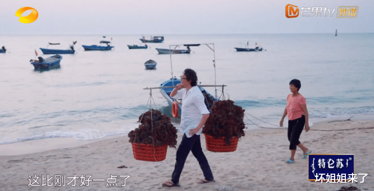 许知远|许知远拯救了「翻车」的何炅和黄磊