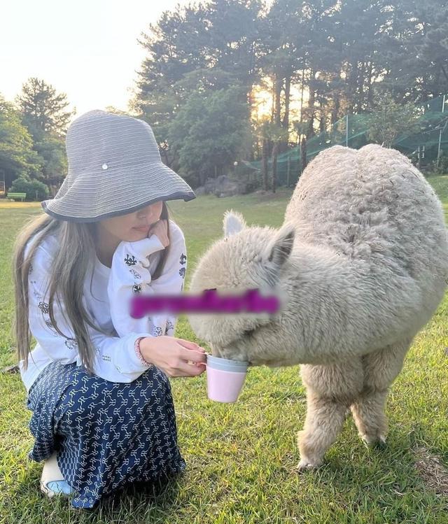 金智妮|Jennie、V额吻照原图！济州岛约会照全曝光，粉丝却对此表示祝福