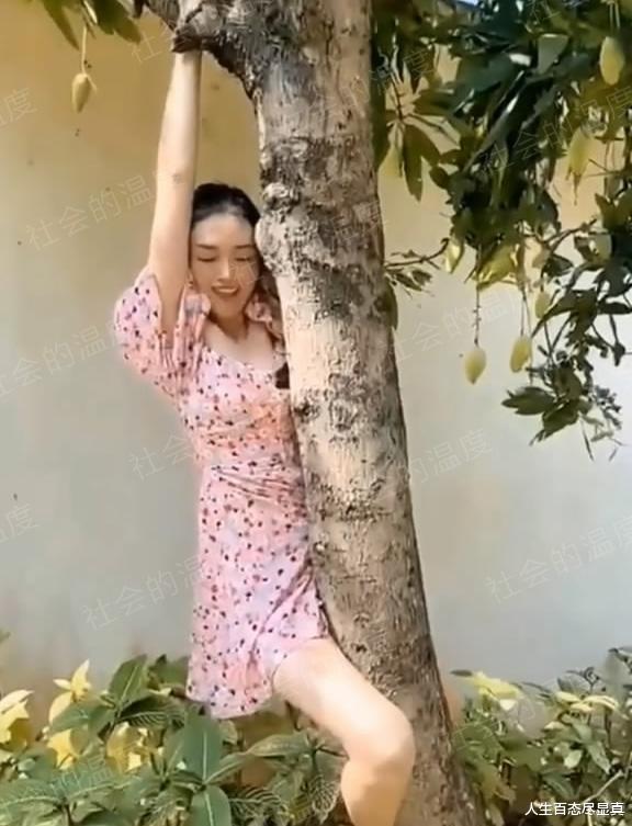 广东一女子爬树摘芒果,卡在树上进退两难,网友:痛并快乐着