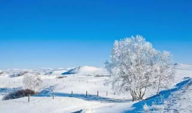 乌兰|塞北雪乡乌兰布统, 满足你对冬天的全部想象