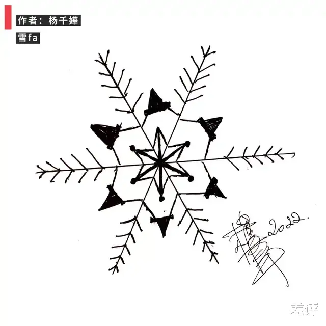 相机|微软前首席技术官,退休后自制一亿像素相机拍雪花?