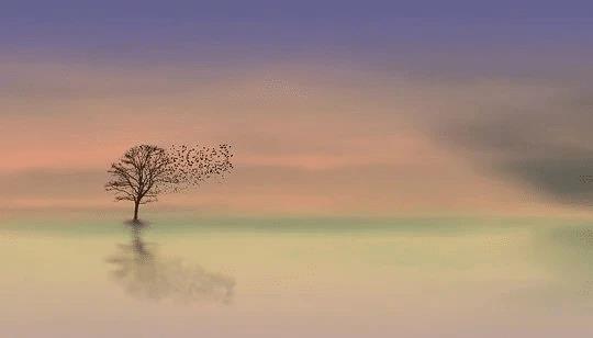 肝脏|50 条生理常识，比金子还值钱！（建议收藏）