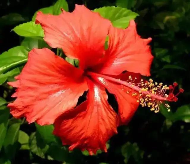 清真寺|年糕带你环游世界——第五十七站:马里