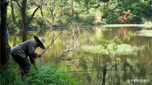 |因资源差经常空军，是否该换水域找资源？不！找好水深养窝正当时