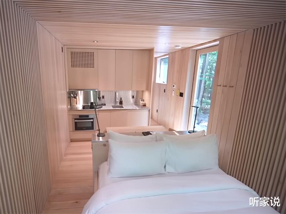 33岁老哥隐居森林中，亲手建起18㎡“隐形”蜗居，网友：太佩服了