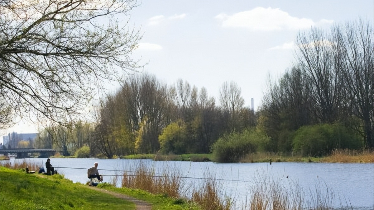 饵料|初春钓鲤鱼饵料怎么搭配效果好？饵料搭配对，钓鱼不费劲