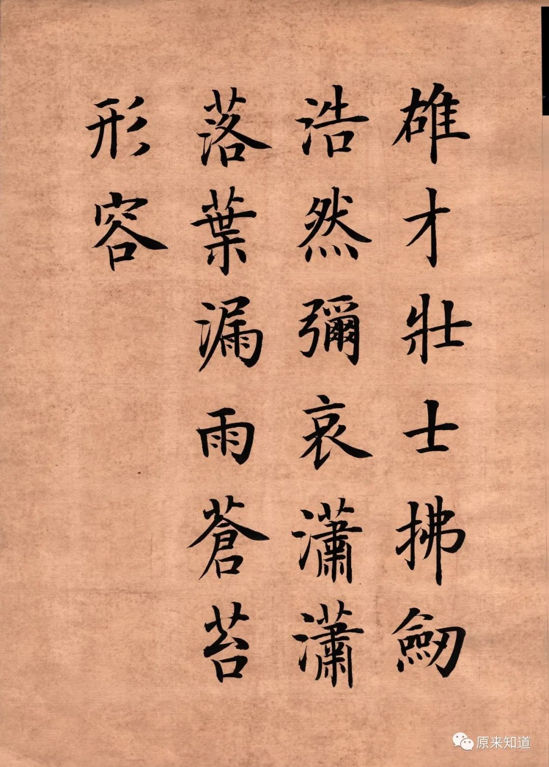 没有人文的科学可怕,没有科学的人文愚蠢