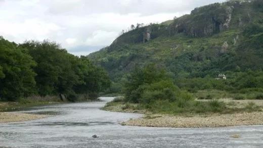 |童年时能捕到的那些没有污染的鱼，如今很难见到了