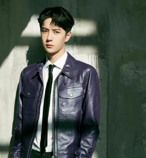 杨紫|微博之夜“博君一肖”同台无望，肖战、杨紫确认出席，三连冠稳了