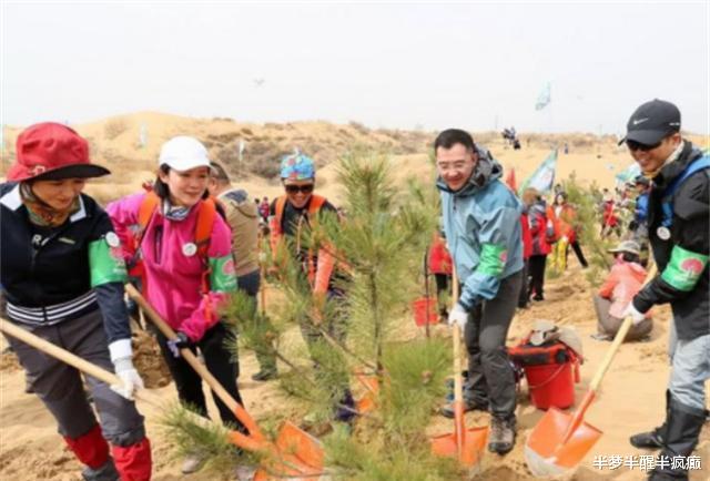 蚂蚁森林|马云斥巨资在沙漠里种的树,如今成啥样了?