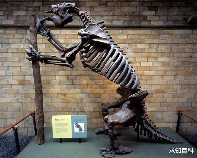 巴西发现13000年前的地下隧道,科学家:非人为,也不是天然形成